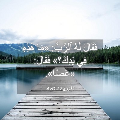 Picture 05 - اَلْخُرُوجُ 4:2 AVD - فَقَالَ لَهُ ٱلرَّبُّ: - Bible Verse Picture