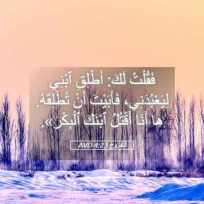 Picture 05 - اَلْخُرُوجُ 4:23 AVD - فَقُلْتُ لَكَ: أَطْلِقِ - Bible Verse Picture