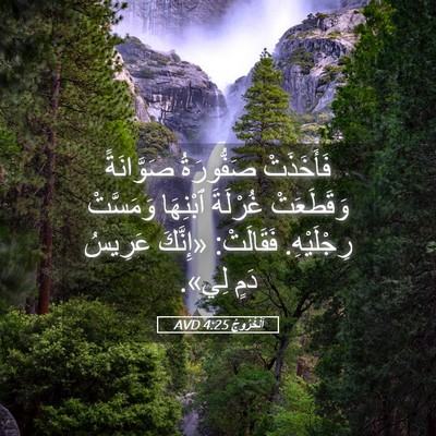 Picture 05 - اَلْخُرُوجُ 4:25 AVD - فَأَخَذَتْ صَفُّورَةُ - Bible Verse Picture