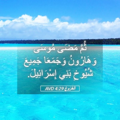 Picture 05 - اَلْخُرُوجُ 4:29 AVD - ثُمَّ مَضَى مُوسَى - Bible Verse Picture