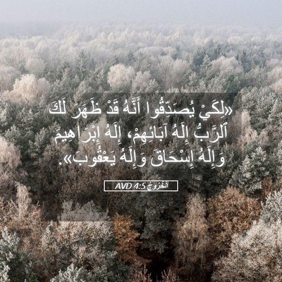 Picture 05 - اَلْخُرُوجُ 4:5 AVD - «لِكَيْ يُصَدِّقُوا - Bible Verse Picture