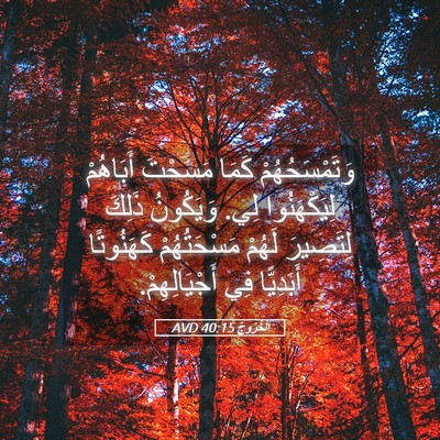 Picture 05 - اَلْخُرُوجُ 40:15 AVD - وَتَمْسَحُهُمْ كَمَا - Bible Verse Picture