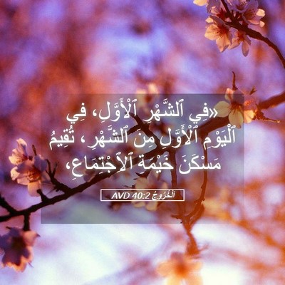Picture 05 - اَلْخُرُوجُ 40:2 AVD - «فِي ٱلشَّهْرِ - Bible Verse Picture