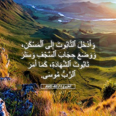 Picture 05 - اَلْخُرُوجُ 40:21 AVD - وَأَدْخَلَ ٱلتَّابُوتَ - Bible Verse Picture