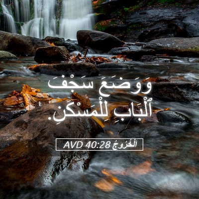 Picture 05 - اَلْخُرُوجُ 40:28 AVD - وَوَضَعَ سَجْفَ ٱلْبَابِ - Bible Verse Picture