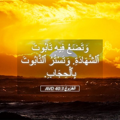 Picture 05 - اَلْخُرُوجُ 40:3 AVD - وَتَضَعُ فِيهِ تَابُوتَ - Bible Verse Picture