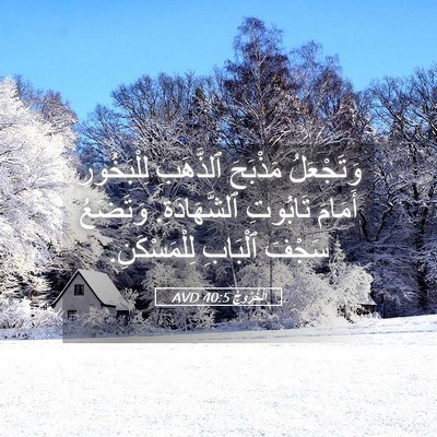 Picture 05 - اَلْخُرُوجُ 40:5 AVD - وَتَجْعَلُ مَذْبَحَ - Bible Verse Picture