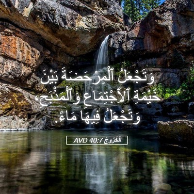 Picture 05 - اَلْخُرُوجُ 40:7 AVD - وَتَجْعَلُ ٱلْمِرْحَضَةَ - Bible Verse Picture