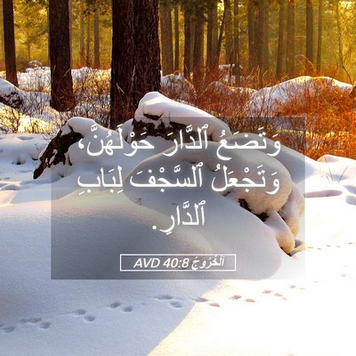 Picture 05 - اَلْخُرُوجُ 40:8 AVD - وَتَضَعُ ٱلدَّارَ - Bible Verse Picture