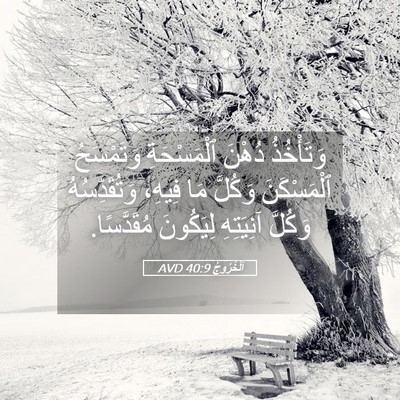 Picture 05 - اَلْخُرُوجُ 40:9 AVD - وَتَأْخُذُ دُهْنَ - Bible Verse Picture