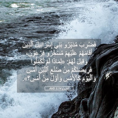 Picture 05 - اَلْخُرُوجُ 5:14 AVD - فَضُرِبَ مُدَبِّرُو بَنِي - Bible Verse Picture