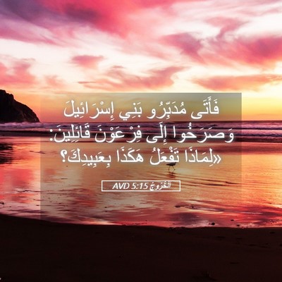 Picture 05 - اَلْخُرُوجُ 5:15 AVD - فَأَتَى مُدَبِّرُو بَنِي - Bible Verse Picture