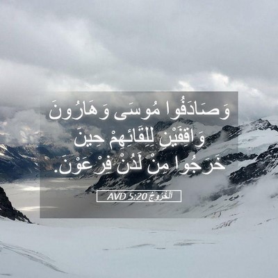 Picture 05 - اَلْخُرُوجُ 5:20 AVD - وَصَادَفُوا مُوسَى - Bible Verse Picture