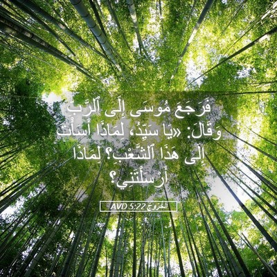 Picture 05 - اَلْخُرُوجُ 5:22 AVD - فَرَجَعَ مُوسَى إِلَى - Bible Verse Picture