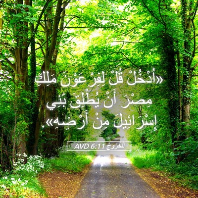 Picture 05 - اَلْخُرُوجُ 6:11 AVD - «اُدْخُلْ قُلْ - Bible Verse Picture