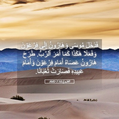 Picture 05 - اَلْخُرُوجُ 7:10 AVD - فَدَخَلَ مُوسَى - Bible Verse Picture