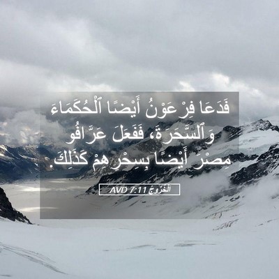 Picture 05 - اَلْخُرُوجُ 7:11 AVD - فَدَعَا فِرْعَوْنُ - Bible Verse Picture