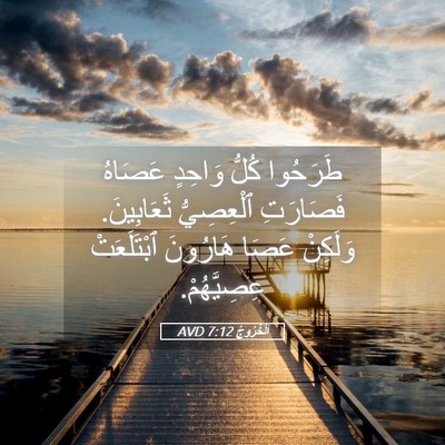 Picture 05 - اَلْخُرُوجُ 7:12 AVD - طَرَحُوا كُلُّ وَاحِدٍ - Bible Verse Picture