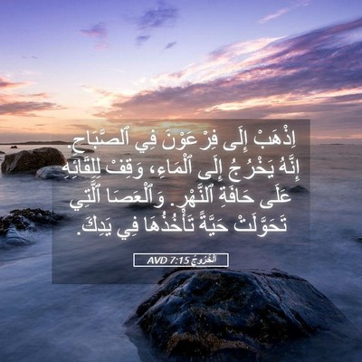 Picture 05 - اَلْخُرُوجُ 7:15 AVD - اِذْهَبْ إِلَى فِرْعَوْنَ - Bible Verse Picture