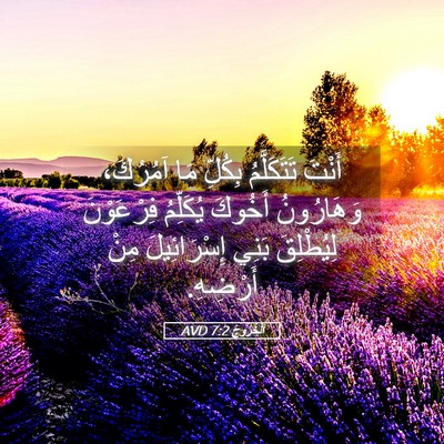 Picture 05 - اَلْخُرُوجُ 7:2 AVD - أَنْتَ تَتَكَلَّمُ - Bible Verse Picture