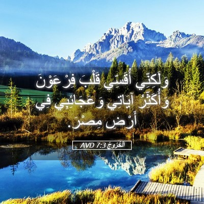 Picture 05 - اَلْخُرُوجُ 7:3 AVD - وَلَكِنِّي أُقَسِّي - Bible Verse Picture