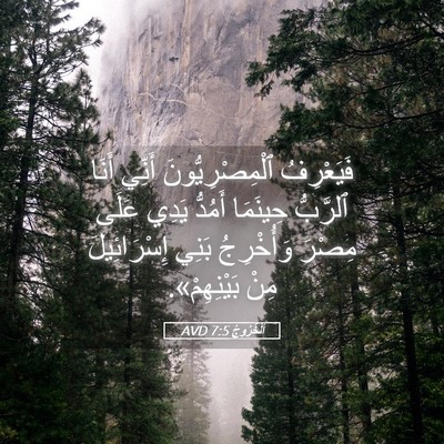 Picture 05 - اَلْخُرُوجُ 7:5 AVD - فَيَعْرِفُ - Bible Verse Picture