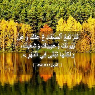 Picture 05 - اَلْخُرُوجُ 8:11 AVD - فَتَرْتَفِعُ ٱلضَّفَادِعُ - Bible Verse Picture