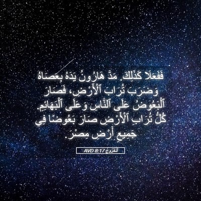 Picture 05 - اَلْخُرُوجُ 8:17 AVD - فَفَعَلَا كَذَلِكَ. مَدَّ - Bible Verse Picture