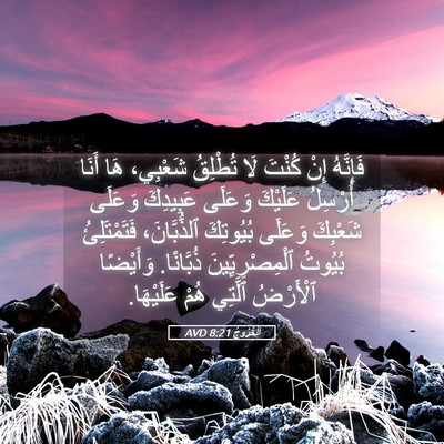 Picture 05 - اَلْخُرُوجُ 8:21 AVD - فَإِنَّهُ إِنْ كُنْتَ لَا - Bible Verse Picture