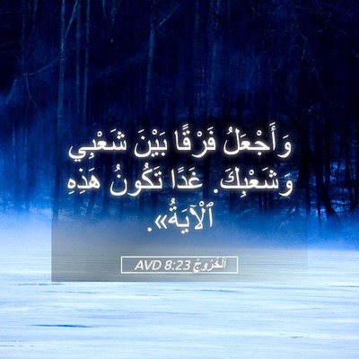 Picture 05 - اَلْخُرُوجُ 8:23 AVD - وَأَجْعَلُ فَرْقًا بَيْنَ - Bible Verse Picture
