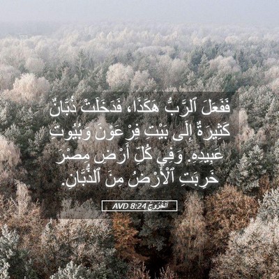 Picture 05 - اَلْخُرُوجُ 8:24 AVD - فَفَعَلَ ٱلرَّبُّ - Bible Verse Picture