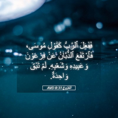 Picture 05 - اَلْخُرُوجُ 8:31 AVD - فَفَعَلَ ٱلرَّبُّ - Bible Verse Picture
