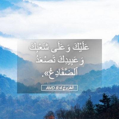 Picture 05 - اَلْخُرُوجُ 8:4 AVD - عَلَيْكَ وَعَلَى شَعْبِكَ - Bible Verse Picture