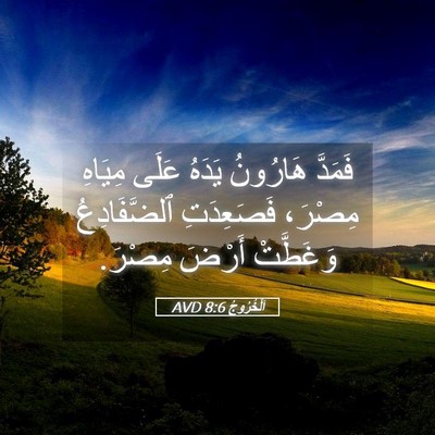Picture 05 - اَلْخُرُوجُ 8:6 AVD - فَمَدَّ هَارُونُ يَدَهُ - Bible Verse Picture