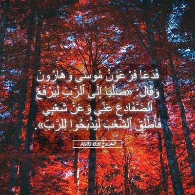 Picture 05 - اَلْخُرُوجُ 8:8 AVD - فَدَعَا فِرْعَوْنُ مُوسَى - Bible Verse Picture