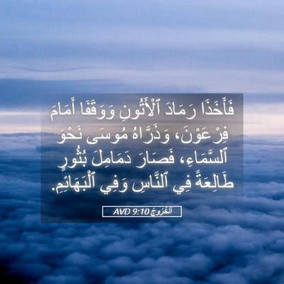 Picture 05 - اَلْخُرُوجُ 9:10 AVD - فَأَخَذَا رَمَادَ - Bible Verse Picture