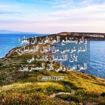 Picture 05 - اَلْخُرُوجُ 9:11 AVD - وَلَمْ يَسْتَطِعِ - Bible Verse Picture