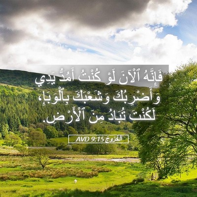 Picture 05 - اَلْخُرُوجُ 9:15 AVD - فَإِنَّهُ ٱلْآنَ لَوْ - Bible Verse Picture
