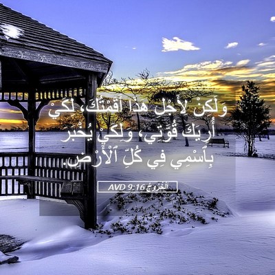 Picture 05 - اَلْخُرُوجُ 9:16 AVD - وَلَكِنْ لِأَجْلِ هَذَا - Bible Verse Picture