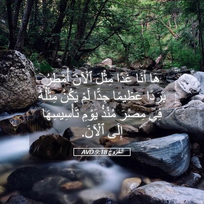 Picture 05 - اَلْخُرُوجُ 9:18 AVD - هَا أَنَا غَدًا مِثْلَ - Bible Verse Picture