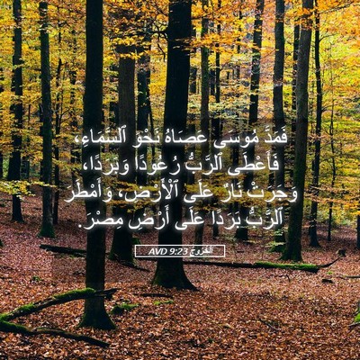 Picture 05 - اَلْخُرُوجُ 9:23 AVD - فَمَدَّ مُوسَى عَصَاهُ - Bible Verse Picture