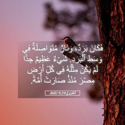Picture 05 - اَلْخُرُوجُ 9:24 AVD - فَكَانَ بَرَدٌ، وَنَارٌ - Bible Verse Picture