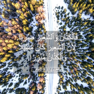 Picture 05 - اَلْخُرُوجُ 9:31 AVD - فَٱلْكَتَّانُ - Bible Verse Picture