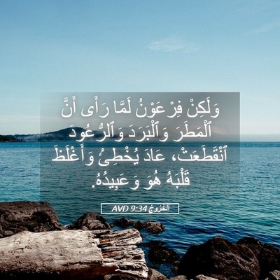 Picture 05 - اَلْخُرُوجُ 9:34 AVD - وَلَكِنْ فِرْعَوْنُ - Bible Verse Picture