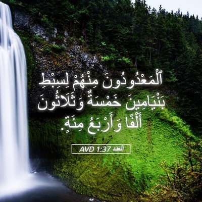 Picture 05 - اَلْعَدَد 1:37 AVD - ٱلْمَعْدُودُونَ مِنْهُمْ - Bible Verse Picture