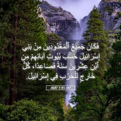 Picture 05 - اَلْعَدَد 1:45 AVD - فَكَانَ جَمِيعُ - Bible Verse Picture