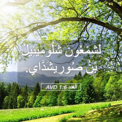 Picture 05 - اَلْعَدَد 1:6 AVD - لِشِمْعُونَ شَلُومِيئِيلُ - Bible Verse Picture