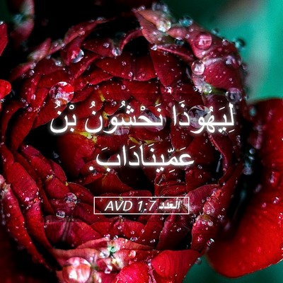Picture 05 - اَلْعَدَد 1:7 AVD - لِيَهُوذَا نَحْشُونُ بْنُ - Bible Verse Picture