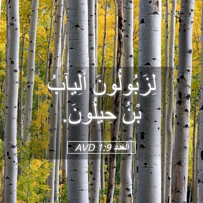 Picture 05 - اَلْعَدَد 1:9 AVD - لِزَبُولُونَ أَلِيآبُ - Bible Verse Picture