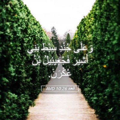 Picture 05 - اَلْعَدَد 10:26 AVD - وَعَلَى جُنْدِ سِبْطِ - Bible Verse Picture